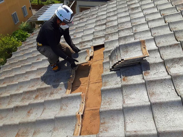 横に瓦をめくり調査します